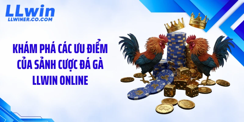 Đá Gà LLWIN Khám phá các ưu điểm của sảnh cược đá gà LLWIN online